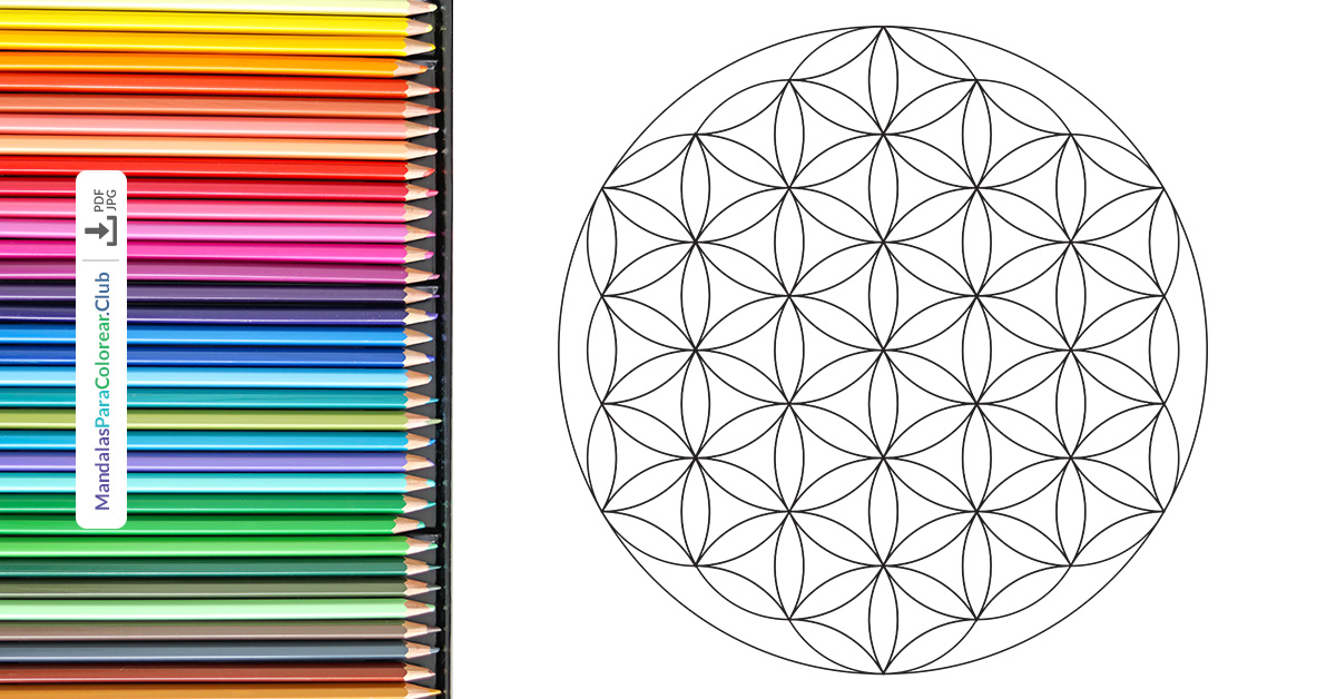 → Flor de la Vida para