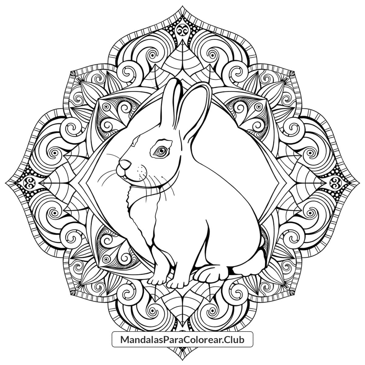 Mandala De Conejo Gratis Para Imprimir En Jpg Png Pdf Mandala De Conejo Gratis Para Imprimir En Jpg Png Pdf
